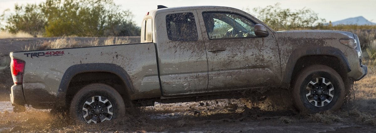 2016 Toyota Tacoma In Mud