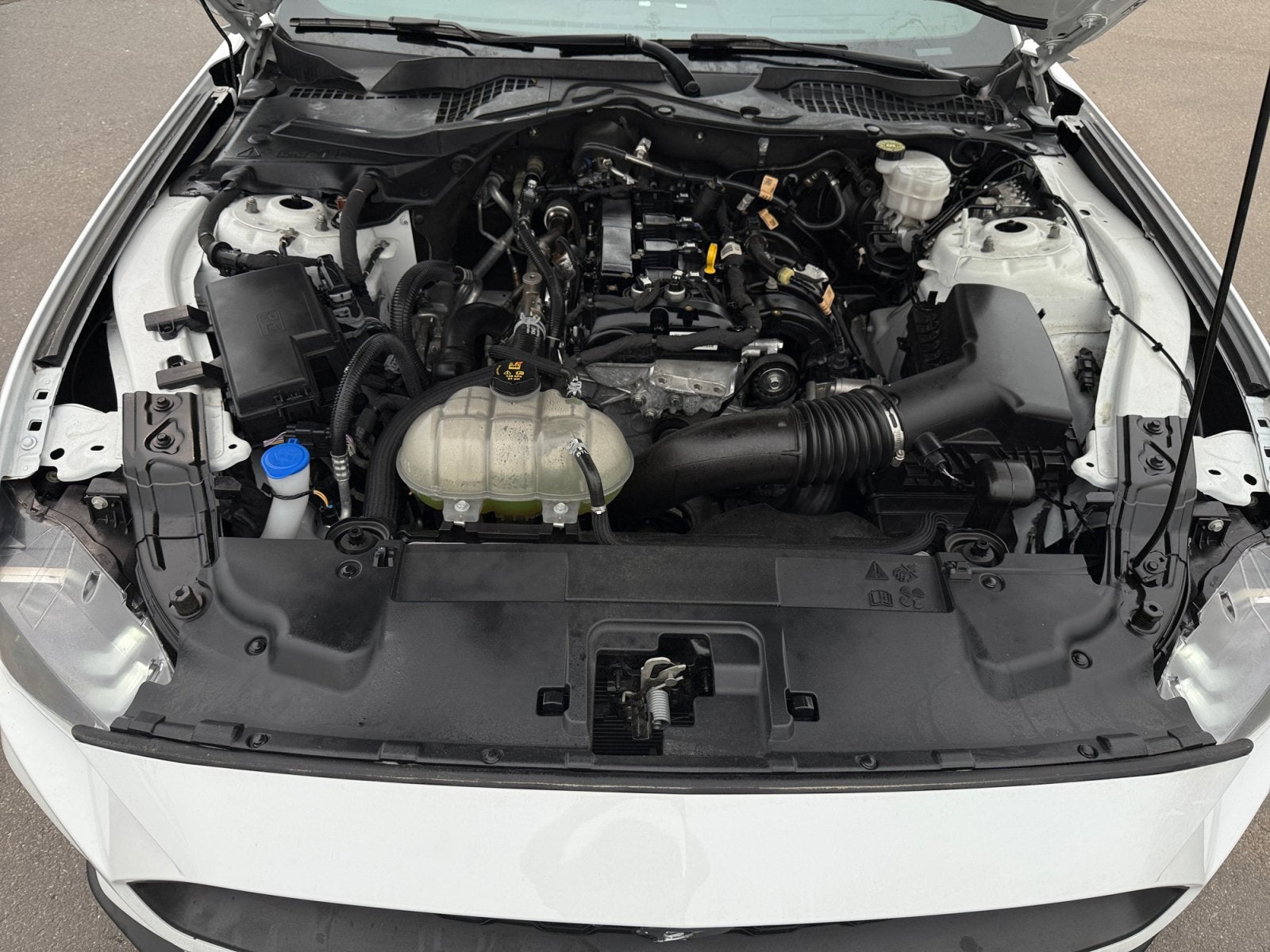 2021 Ford Mustang EcoBoost