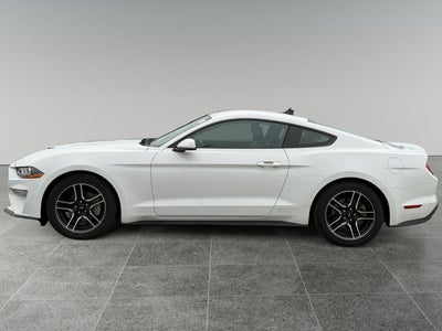 2021 Ford Mustang EcoBoost