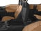2016 Ford F-150 Base