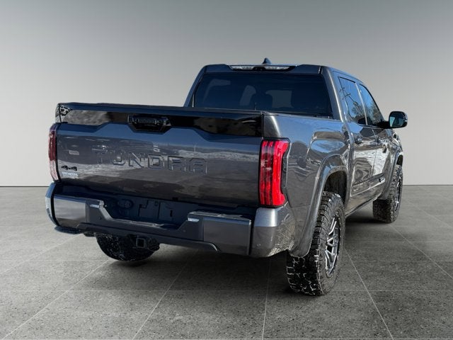 2023 Toyota Tundra 4WD Truck Platinum