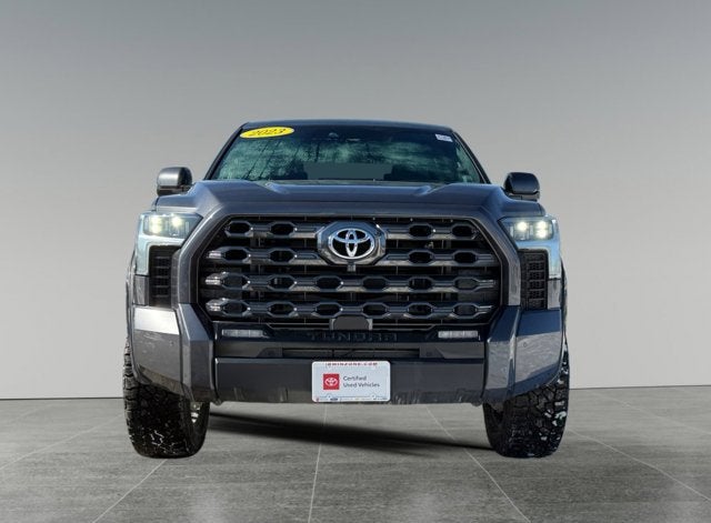 2023 Toyota Tundra 4WD Truck Platinum